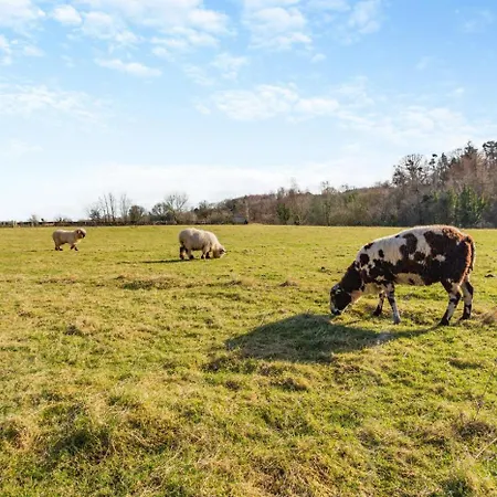 3 Bed In Oc-o31004 Holiday home